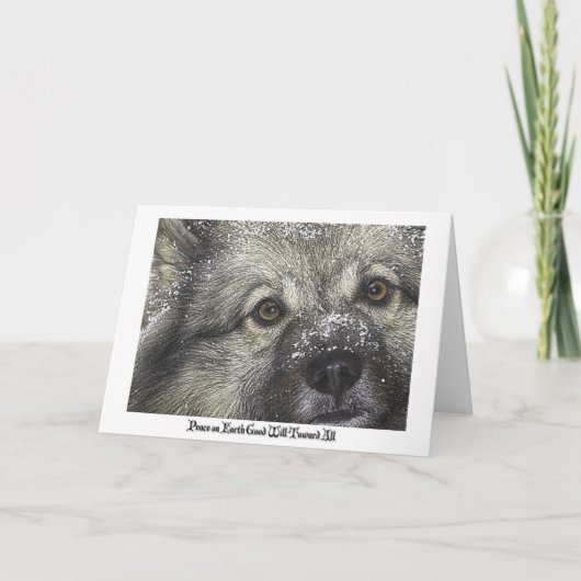 De Kerstkaart van Keeshond Feestdagen Kaart (Voorkant)