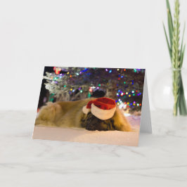 De Kerstkaart van Leonberger van de slaap Feestdagen Kaart