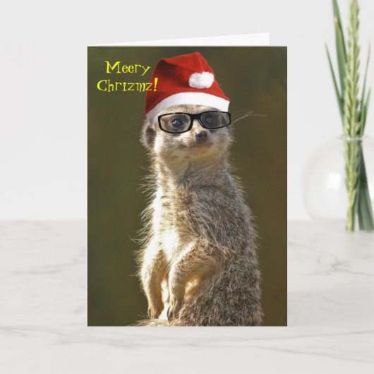 De Kerstkaart van Meerkat Feestdagen Kaart (Voorkant)