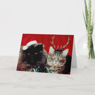 De Kerstkaart van Meowy Feestdagen Kaart