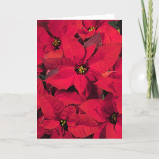 De Kerstkaart van poinsettia Feestdagen Kaart