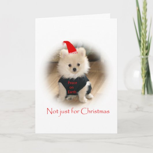 De Kerstkaart van Pomeranian Feestdagen Kaart (Voorkant)