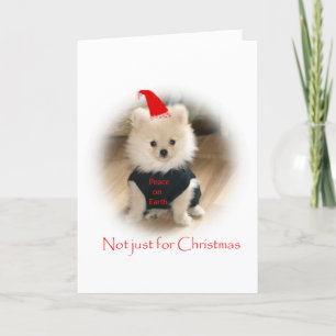 De Kerstkaart van Pomeranian Feestdagen Kaart