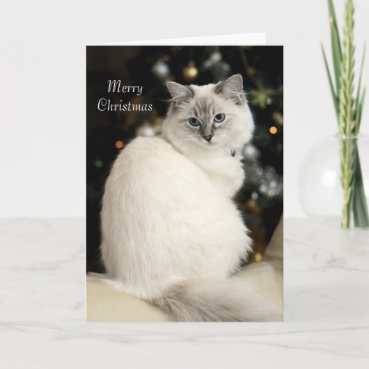 De Kerstkaart van Ragdoll Feestdagen Kaart (Voorkant)