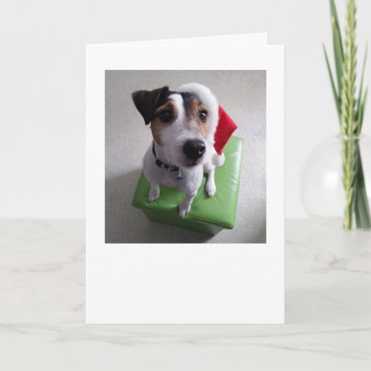 De Kerstkaart van Russell Terrier van de Hefboom Feestdagen Kaart (Voorkant)