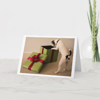 De Kerstkaart van Russell Terrier van de hefboom Feestdagen Kaart