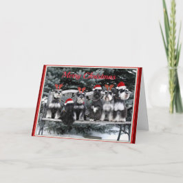 De Kerstkaart van Schnauzer Feestdagen Kaart