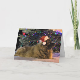De Kerstkaart van Sparkly van Leonberger Feestdagen Kaart