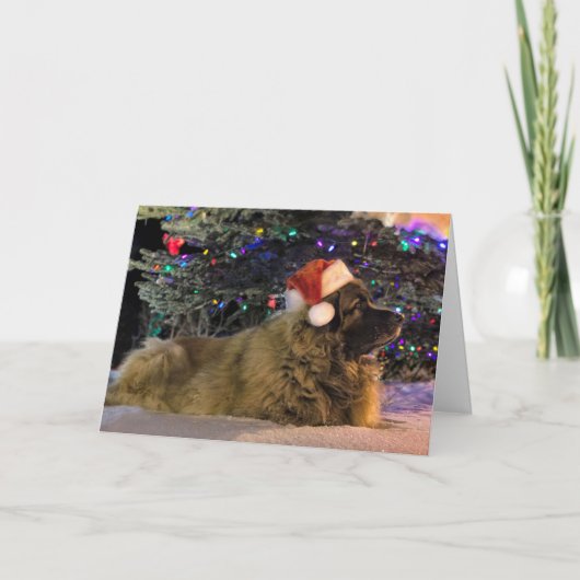 De Kerstkaart van Sparkly van Leonberger Feestdagen Kaart (Voorkant)