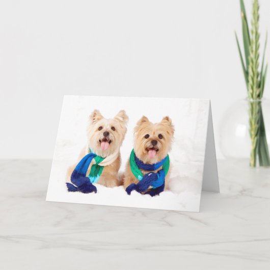 De Kerstkaart van Terriers van twee Steenhoop Feestdagen Kaart (Voorkant)