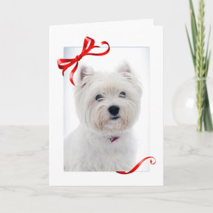 De Kerstkaart van Westie Feestdagen Kaart