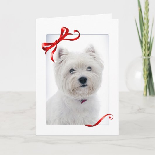 De Kerstkaart van Westie Feestdagen Kaart (Voorkant)