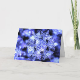 De Kerstkaart van Winterborn Feestdagen Kaart