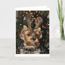 De Kerstkaart van Yorkshire Terrier Feestdagen Kaart