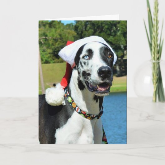 De Kerstkaarten van de bulldozer Feestdagen Kaart (Voorkant)