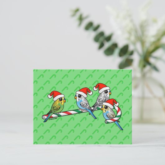 De Kerstman Budgies van het Riet van het snoep Feestdagenkaart (Staand voorkant)