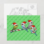 De Kerstman Budgies van het Riet van het snoep Feestdagenkaart (Voorkant / Achterkant)
