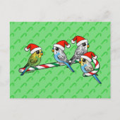 De Kerstman Budgies van het Riet van het snoep Feestdagenkaart (Voorkant)