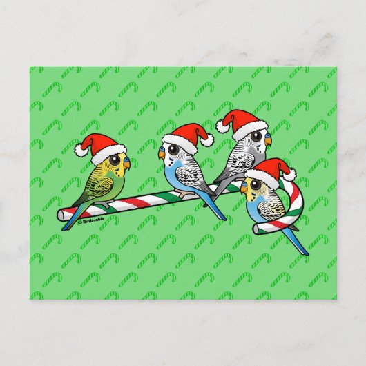 De Kerstman Budgies van het Riet van het snoep Feestdagenkaart (Voorkant)