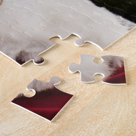 De kerstman controleert zijn lijstpuzzel legpuzzel (Zijkant)