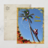 De kerstman die een palmboom versiert feestdagenkaart (Voorkant / Achterkant)