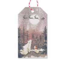 De Kerstman en de Polar Beren