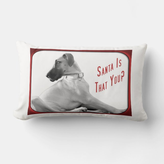 De Kerstman is dat jij Kussen (Voorkant)