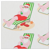 De kerstman neemt een dag van de Beach Stof (Close Up)