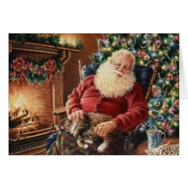 De  kerstman slaapt met de kat (Voorkant Horizontaal)