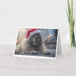 De Kerstman van Leonberger Feestdagen Kaart