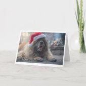 De Kerstman van Leonberger Feestdagen Kaart (Voorkant)