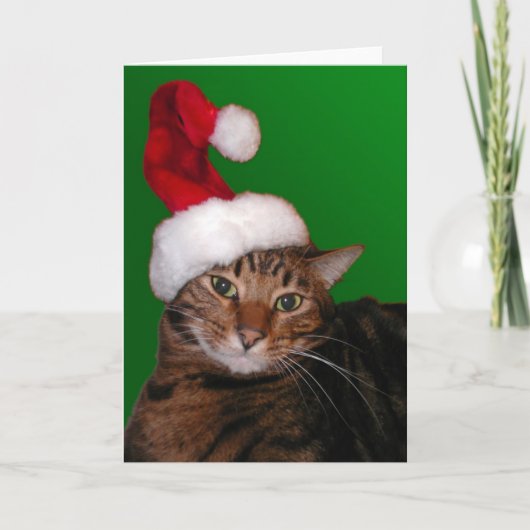 De Kerstman van Mooki - lege kaart (Voorkant)