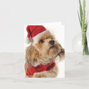 DE KERSTMAN VAN ZOE FEESTDAGEN KAART