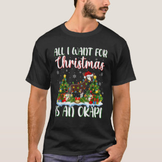 De kerstverlichting die ik alleen voor Kerstmis wi T-shirt