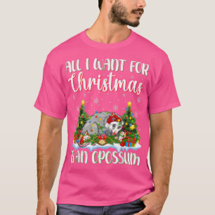 De kerstverlichting die ik alleen voor Kerstmis wi T-shirt