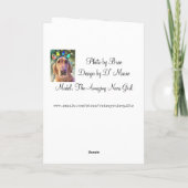 De kerstverlichting van Nova Girl - Golden Retriev Feestdagen Kaart (Achterkant)