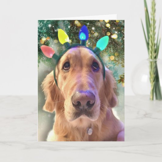 De kerstverlichting van Nova Girl - Golden Retriev Feestdagen Kaart (Voorkant)
