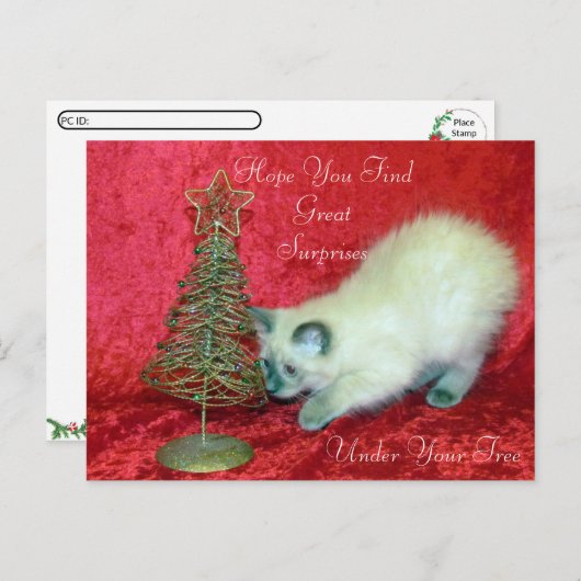 De kerstverrassing van Savannah - Balinese kat Briefkaart (Voorkant / Achterkant)