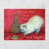 De kerstverrassing van Savannah - Balinese kat Briefkaart (Voorkant)