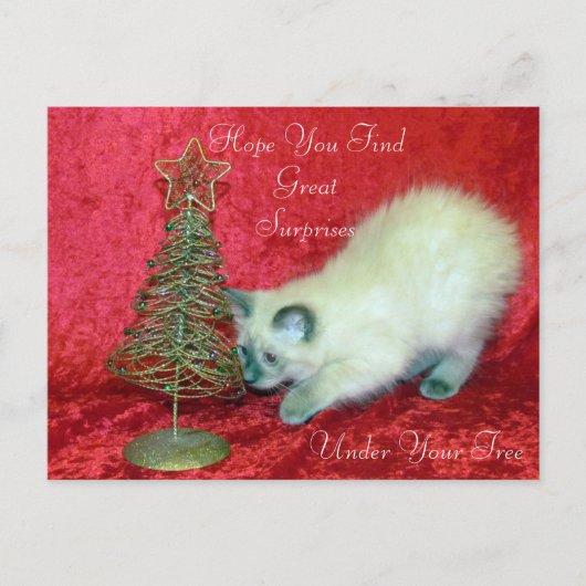 De kerstverrassing van Savannah - Balinese kat Briefkaart (Voorkant)