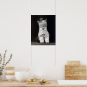 De keurige kat, 1906. Oude foto Poster (Keuken)