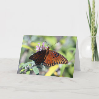 De Keus van mamma's, Hallo Kaart