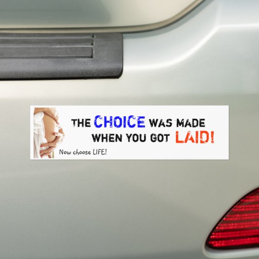 De keuze is gemaakt bumpersticker (Op auto)