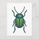 De kever briefkaart (Voorkant)