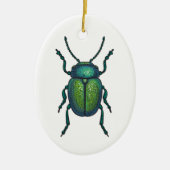 De kever keramisch ornament (Voorkant)