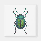 De kever magneet (Voorkant)