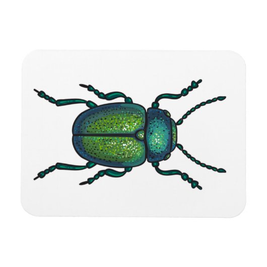 De kever magneet (Horizontaal)