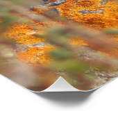 De kever perfect poster (Hoek)