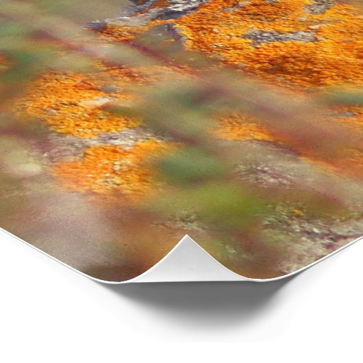 De kever perfect poster (Hoek)