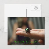 De Kever van Kerstmis Feestdagenkaart (Voorkant / Achterkant)
